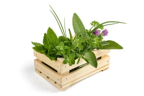 Herbs in a crate Stock Photos