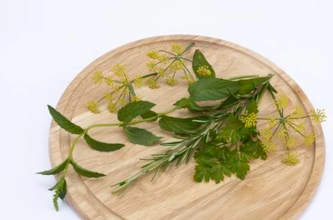 Herbs on a cutting board Stock Photos
