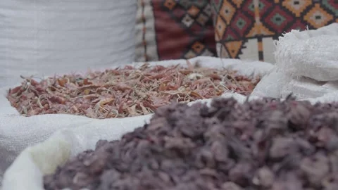 Herbs in egypt 库存影片 247018490