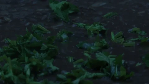 Herbs fall on boiled beans Stock Footage 82991593