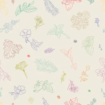 Herbs flower seamless pattern drawn graphic texture background, sketch wallpaper 스톡 일러스트