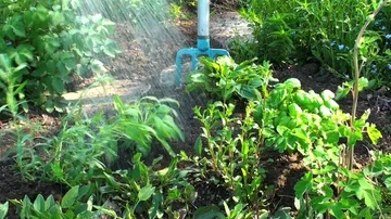 Herbs Vidéo 85688385