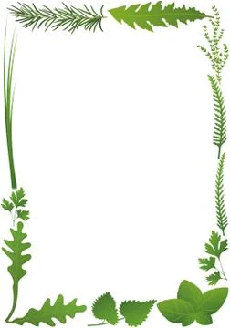 Herbs Frame Vertical Stock Illustration