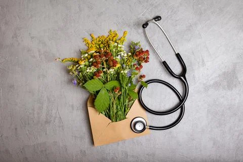 Herbs on gray background top view frame copy space. 스톡 사진