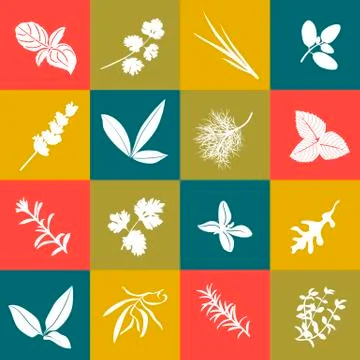 Herbs hand drawn vector squared icon big set.  Stock Illustration