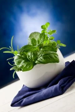 Herbs highlighted by spot light Stock Photos