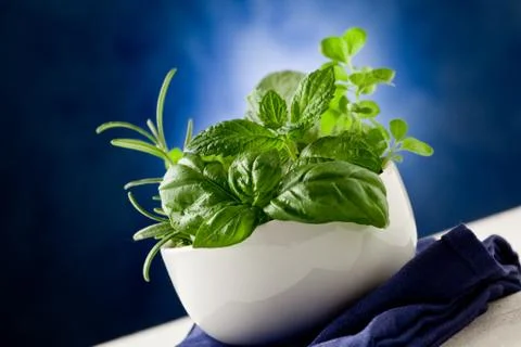 Herbs highlighted by spot light Stock Photos