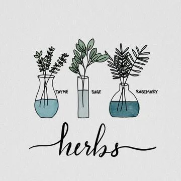 Herbs Stock Illustration