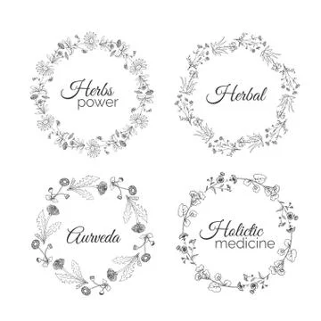 Herbs Illustration. Floral frames Stock Illustration