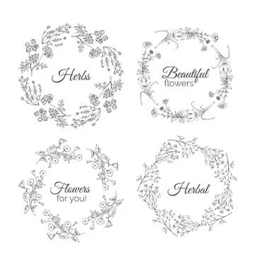 Herbs Illustration. Floral frames Stock Illustration