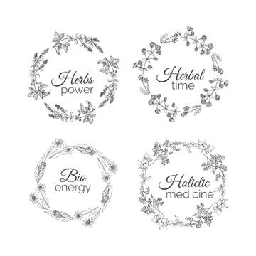 Herbs Illustration. Floral frames Stock Illustration