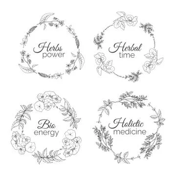 Herbs Illustration. Floral frames Stock Illustration