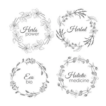 Herbs Illustration. Floral frames Stock Illustration