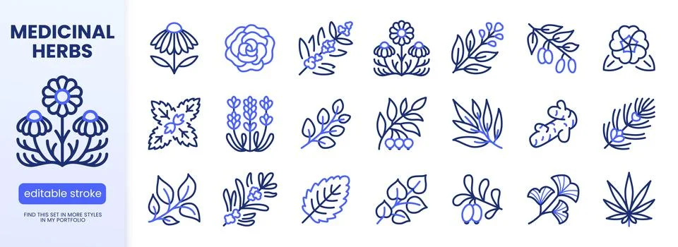 Herbs line icon set. Chamomile, lavender, eucalyptus, peppermint, echinacea Stock Illustration