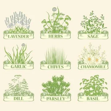 Herbs logo Stock Illustration