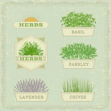Herbs logo set Stock Illustration