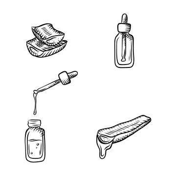 Herbs for natural cosmetics. A set of vector illustrations for packaging, a.. Stock Illustration