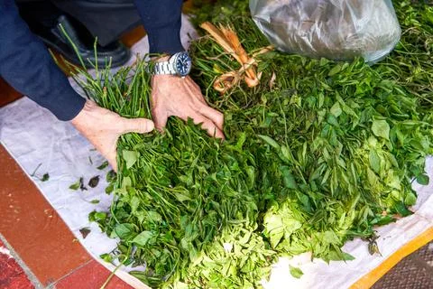 Herbs needed to make five-color glutinous rice, Chinese Tomb-sweeping Day food Foto stock