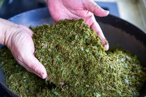 Herbs needed to make five-color glutinous rice, Chinese Tomb-sweeping Day food Фото