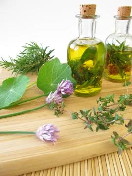 Herbs in olive oil Stock Photos
