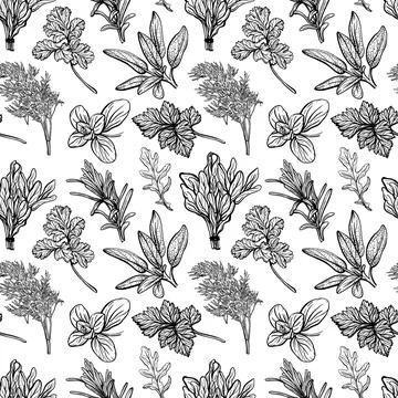 Herbs pattern. Aromatic spices, healthy herbs Stock Illustration