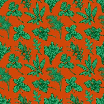 Herbs pattern. Aromatic spices, healthy herbs Stock Illustration