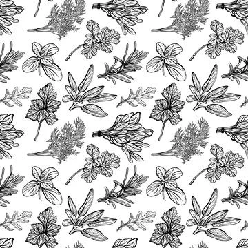 Herbs pattern. Aromatic spices, healthy herbs Stock Illustration