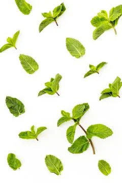 Herbs pattern with green mint leaves, top view Foto stock