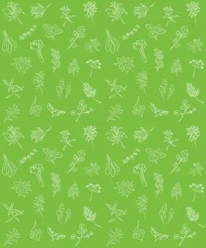 Herbs pattern 스톡 일러스트