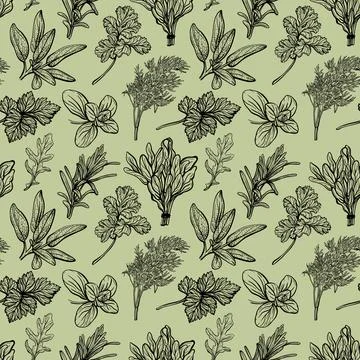 Herbs pattern. Italian herbs pattern Illustrazione stock