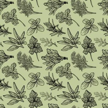 Herbs pattern. Italian herbs pattern Illustrazione stock