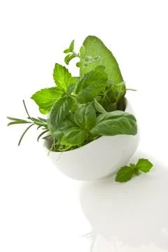 Herbs Stock Photos