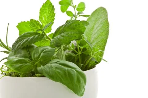 Herbs Stock Photos