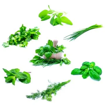 Herbs Stock Photos