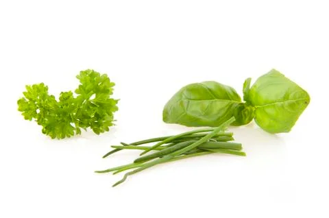 Herbs Stock Photos