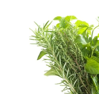 Herbs Stock Photos