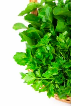 Herbs Stock Photos