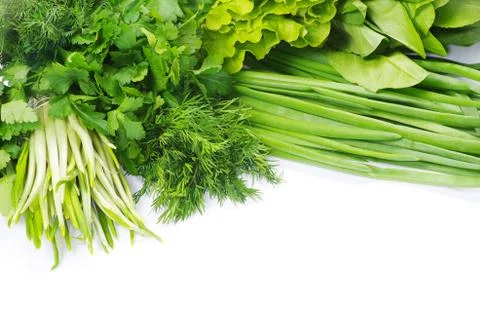 Herbs Stock Photos