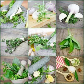 Herbs Stock Photos