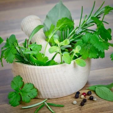 Herbs Stock Photos