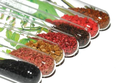 Herbs  Stock Photos