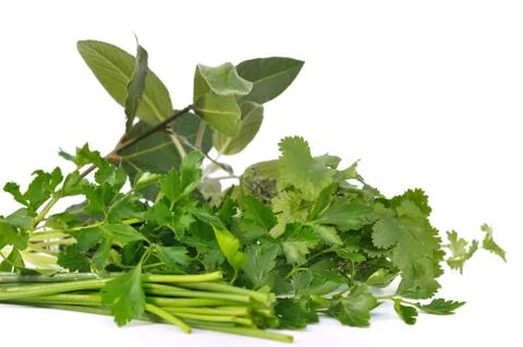 Herbs Stock Photos