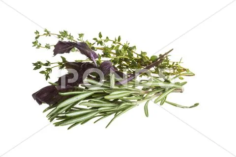 Herbs Stock Photos