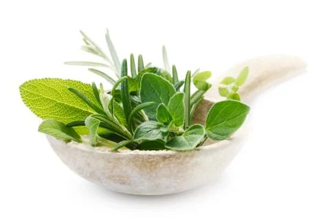 Herbs Stock Photos