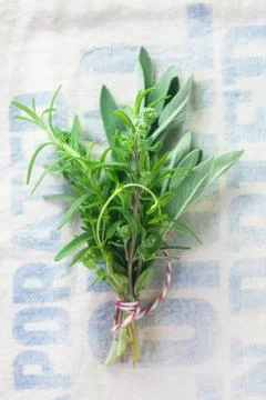 Herbs Stock Photos