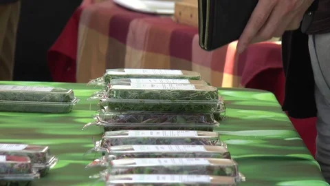 Herbs in Plastic Containers 스톡 동영상 99314560