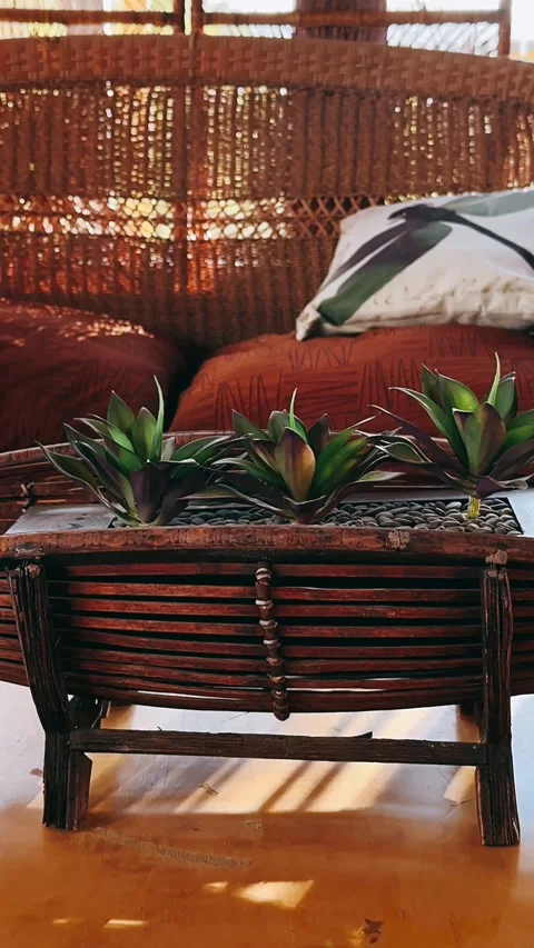 Herbs in a pot, plant, pot, leaf, flower, isolated, nature, Stock Footage 252153669