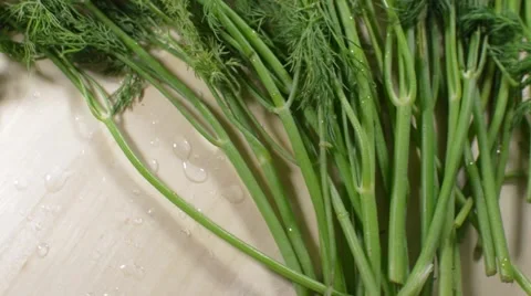 Herbs rotate at table Stock Footage 57297188