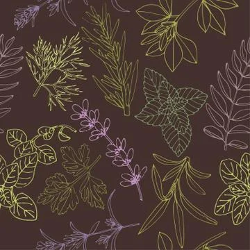 Herbs seamless pattern on a dark background Ilustração Stock