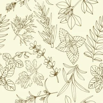 Herbs seamless pattern Stock Illustration